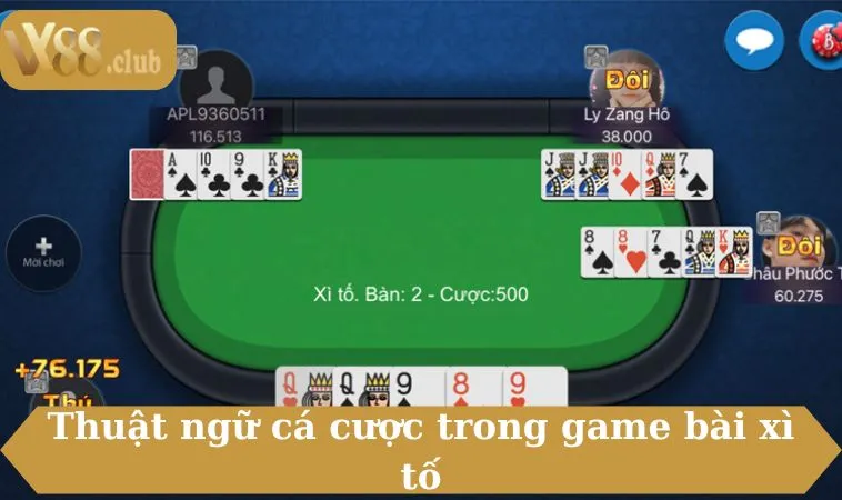 Thuật ngữ cá cược trong game bài xì tố